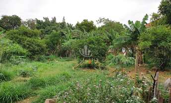 Imagem 3: CHACARA A VENDA EM ARARAQUARA