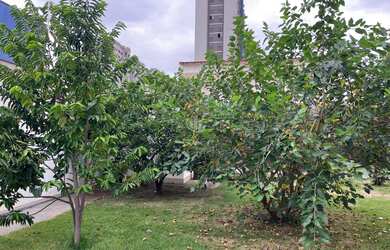 Imagem 6: Casa residencial para Venda Residencial Cambuy, Araraquara, 2 dormitórios, 1 sala para 2 a
