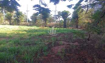 Imagem 5: Chacara a venda na Flora em Araraquara , proximo ao Banespinha