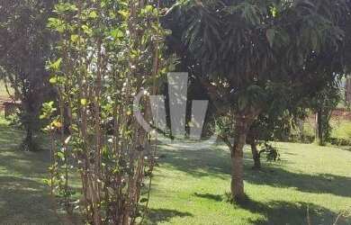 Imagem 2: CHACARA A VENDA EM ARARAQUARA-SP