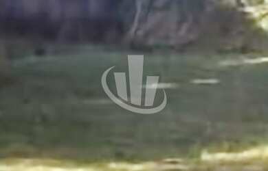 Imagem 4: Chácara residencial para Venda Chácara Flora Araraquara, Araraquara com 2 casas, 2 barracõ