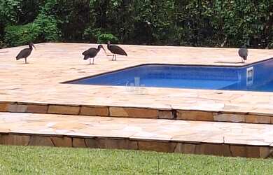 Imagem 6: Chácara residencial para Venda Chácara Flora Araraquara, Araraquara com 2 casas, 2 barracõ