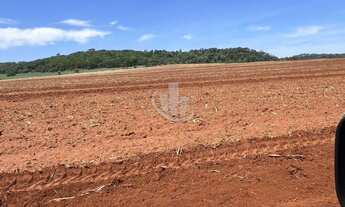 Imagem 7: FAZENDA A VENDA INTERIOR DE SÃO PAULO-SP
