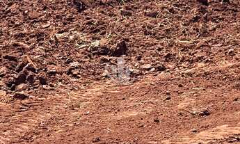 Imagem 5: FAZENDA A VENDA INTERIOR DE SÃO PAULO-SP
