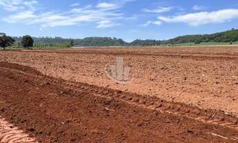 Imagem 6: FAZENDA A VENDA INTERIOR DE SÃO PAULO-SP