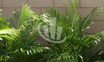 Imagem 6: Casa em Condomínio para Venda Ori Jardins Jaragua, Araraquara