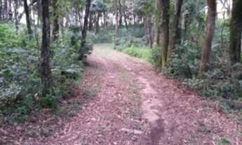 Imagem 6: Sítio à venda em Itupeva-SP, Chácaras do Guacuri: 4 quartos, 3 salas, 2 banheiros, 157.000