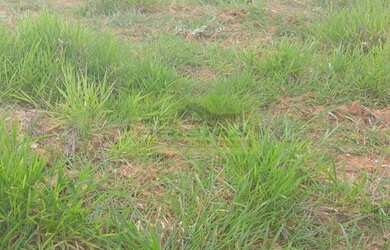 Imagem 3: TERRENO RESIDENCIAL em ITUPEVA - SP, RESIDENCIAL BOULEVARD SERRA DO JAPI