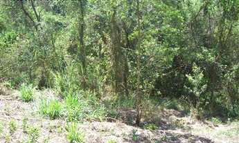 Imagem 6: AREA RURAL em Jarinu - SP, Pitangal