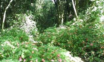 Imagem 6: TERRENO RESIDENCIAL em CAMPO LIMPO PAULISTA - SP, PAU ARCADO