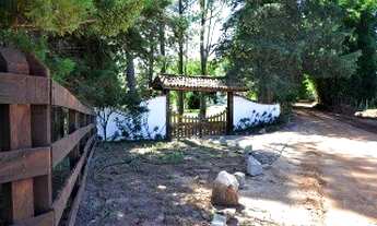 Imagem 3: SITIO RURAL em CUNHA - SP, ESTÂNCIA CLIMÁTICA - CUNHA SP