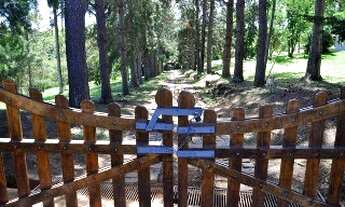 Imagem 4: SITIO RURAL em CUNHA - SP, ESTÂNCIA CLIMÁTICA - CUNHA SP