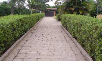 Imagem 6: Chacara em vinhedo