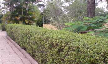 Imagem 4: Chacara em vinhedo