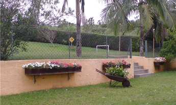 Imagem 2: Chacara em vinhedo