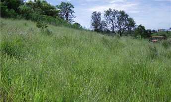 Imagem: TERRENO RESIDENCIAL em VINHEDO - SP, MIRANTE