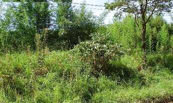 Imagem 5: TERRENO COMERCIAL em JUNDIAI - SP, CAXAMBU