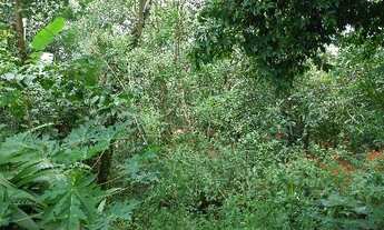 Imagem 5: TERRENO RESIDENCIAL em JARINU - SP, VILA NOVA TRIESTE