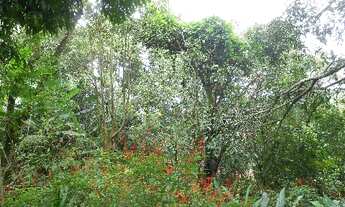 Imagem 6: TERRENO RESIDENCIAL em JARINU - SP, VILA NOVA TRIESTE