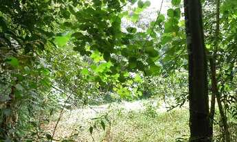 Imagem 7: TERRENO RESIDENCIAL em JARINU - SP, VILA NOVA TRIESTE