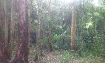 Imagem 7: CHACARA RESIDENCIAL em CAMPO LIMPO PAULISTA - SP, FIGUEIRA BRANCA