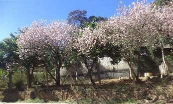 Imagem 2: CHACARA RESIDENCIAL em JUNDIAI - SP, IVOTURUCAIA