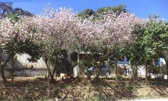 Imagem 3: CHACARA RESIDENCIAL em JUNDIAI - SP, IVOTURUCAIA