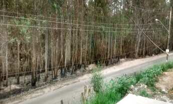 Imagem 4: GALPAO INDUSTRIAL em CAMPO LIMPO PAULISTA - SP, PARQUE IRAMAIA