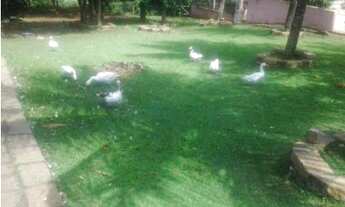 Imagem 3: Haras a venda em Itupeva - SP