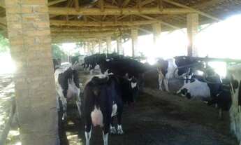 Imagem 4: Haras a venda em Itupeva - SP