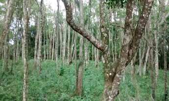 Imagem: Terreno de AT 5.035,25m² - Recreio More