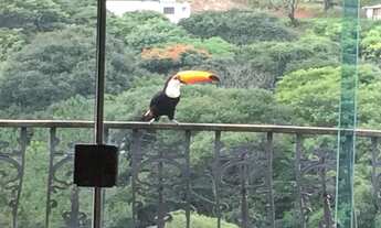 Imagem 2: Chácara Monterrey Louveira