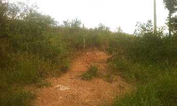 Imagem 7: AREA INDUSTRIAL em JARINU - SP, JARINU