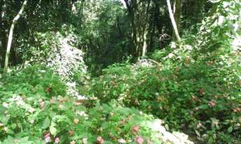 Imagem 6: TERRENO RESIDENCIAL em Campo Limpo Paulista - SP, PAU ARCADO