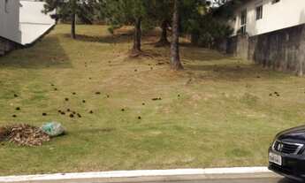 Imagem 2: TERRENO RESIDENCIAL em SANTANA DE PARNAÍBA - SP, ALPHAVILLE