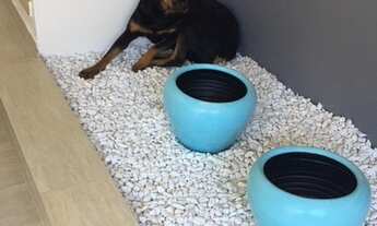 Imagem 3: Casa a venda Jardim Santa Rosa - Medeiros - Jundiaí - SP