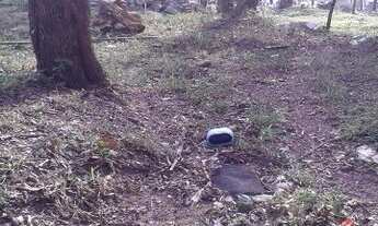 Imagem 6: CHÁCARA para Locação comercial ou residencial com 3 casas antigas, no bairro JARDIM COLONI