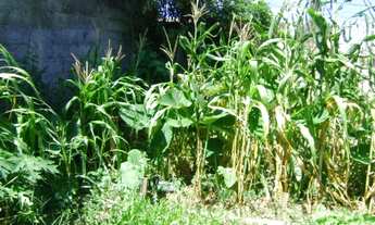 Imagem 3: TERRENO NO JARDIM TAMOIO EM JUNDIAÍ-SP