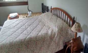 Imagem 6: SÍTIO-VENDA-NO BAIRRO DO PAU ARCADO, CAMPO LIMPO PAULISTA