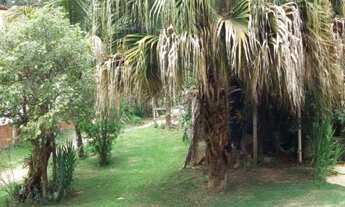 Imagem 3: LINDA CHÁCARA, BAIRRO CHÁCARAS SÃO GUIDO EM VÁRZEA PAULISTA