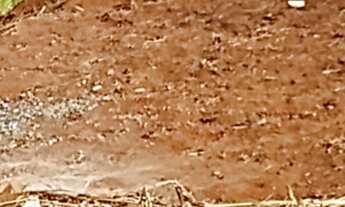 Imagem 3: TERRENO- JARDIM BRASIL, EM VÁRZEA PAULISTA