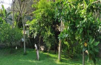 Imagem 7: LINDA CHÁCARA- BAIRRO ROSEIRA- EM JUNDIAÍ