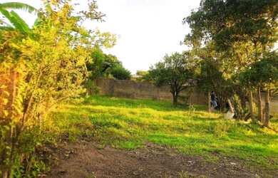 Imagem 4: TERRENO (CHÁCARA) - CAFEZAL I - EM ITUPEVA