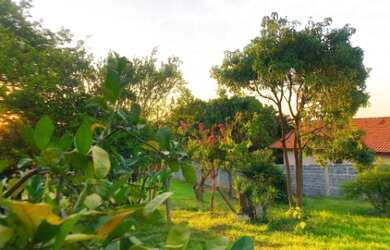 Imagem 3: TERRENO (CHÁCARA) - CAFEZAL I - EM ITUPEVA