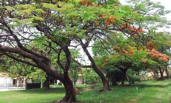 Imagem 4: CHACARA RESIDENCIAL em JUNDIAI - SP, MEDEIROS