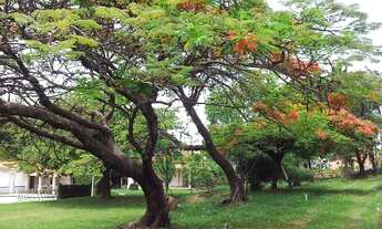 Imagem: AREA COMERCIAL em JUNDIAI - SP, MEDEIROS