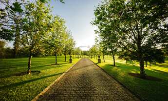 Imagem: RESERVA ITANHANGÁ, 459M² de Área Construída