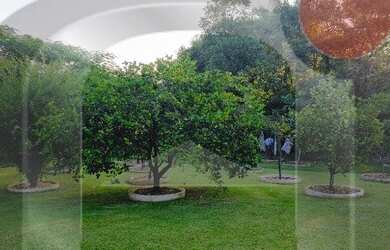 Imagem 3: TERRENO COM BENFEITORIAS