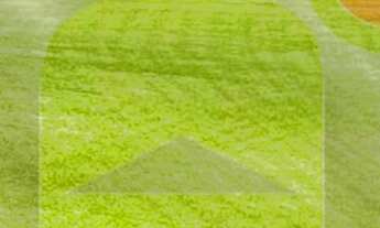 Imagem: PORTEIRA DE FERRO RESIDENCIAL