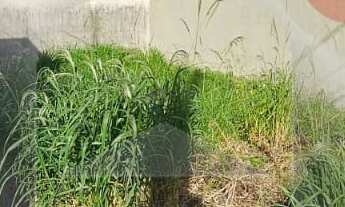 Imagem 6: TERRENO MISTO LOCALIZADO A 20 METROS DO PARQUE ECOLÓGICO